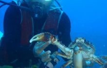 Meksyk, Belize, Gwatemala - marzec 2008