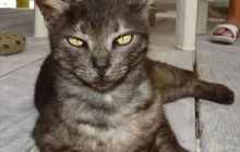 Meksyk, Belize, Gwatemala - marzec 2008