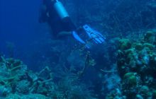 Meksyk, Belize, Gwatemala - marzec 2008