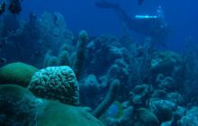 Meksyk, Belize, Gwatemala - marzec 2008