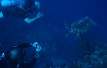 Meksyk, Belize, Gwatemala - marzec 2008