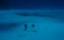 Meksyk, Belize, Gwatemala - marzec 2008