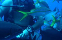 Meksyk, Belize, Gwatemala - marzec 2008