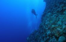 Zabargan, Rocky Island i St Johns - kwiecień 2008