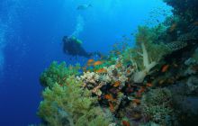 Zabargan, Rocky Island i St Johns - kwiecień 2008