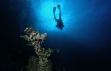 Zabargan, Rocky Island i St Johns - kwiecień 2008