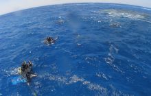 Zabargan, Rocky Island i St Johns - kwiecień 2008