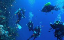 Zabargan, Rocky Island i St Johns - kwiecień 2008