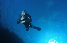 Zabargan, Rocky Island i St Johns - kwiecień 2008