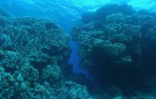 Zabargan, Rocky Island i St Johns - kwiecień 2008