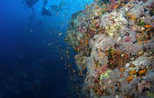 Zabargan, Rocky Island i St Johns - kwiecień 2008