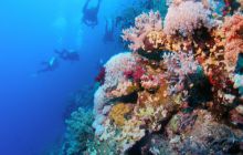 Zabargan, Rocky Island i St Johns - kwiecień 2008