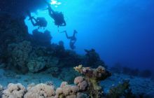 Zabargan, Rocky Island i St Johns - kwiecień 2008