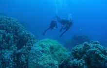 Zabargan, Rocky Island i St Johns - kwiecień 2008