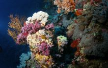 Zabargan, Rocky Island i St Johns - kwiecień 2008