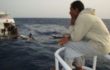 Zabargan, Rocky Island i St Johns - kwiecień 2008