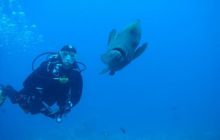 Zabargan, Rocky Island i St Johns - kwiecień 2008