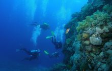 Zabargan, Rocky Island i St Johns - kwiecień 2008