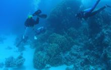 Zabargan, Rocky Island i St Johns - kwiecień 2008