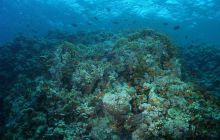 Zabargan, Rocky Island i St Johns - kwiecień 2008