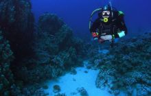 Zabargan, Rocky Island i St Johns - kwiecień 2008