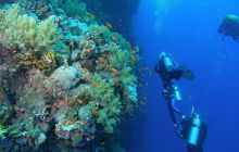 Zabargan, Rocky Island i St Johns - kwiecień 2008