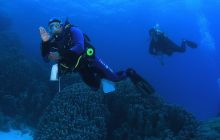 Zabargan, Rocky Island i St Johns - kwiecień 2008