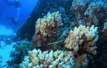 Zabargan, Rocky Island i St Johns - kwiecień 2008