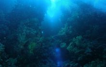 Zabargan, Rocky Island i St Johns - kwiecień 2008