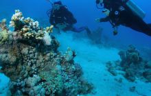 Zabargan, Rocky Island i St Johns - kwiecień 2008