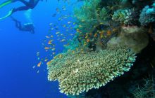 Zabargan, Rocky Island i St Johns - kwiecień 2008