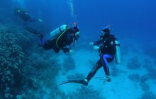 Zabargan, Rocky Island i St Johns - kwiecień 2008