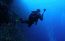 Zabargan, Rocky Island i St Johns - kwiecień 2008