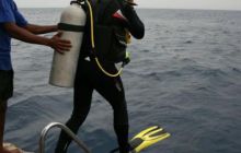 Zabargan, Rocky Island i St Johns - kwiecień 2008