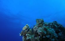 Zabargan, Rocky Island i St Johns - kwiecień 2008