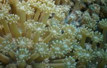 Zabargan, Rocky Island i St Johns - kwiecień 2008