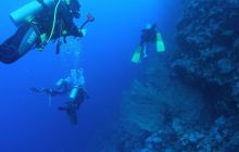 Zabargan, Rocky Island i St Johns - kwiecień 2008