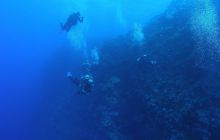 Zabargan, Rocky Island i St Johns - kwiecień 2008