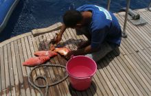 Zabargan, Rocky Island i St Johns - kwiecień 2008