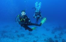 Zabargan, Rocky Island i St Johns - kwiecień 2008