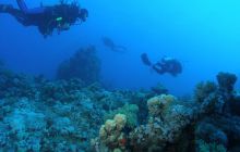 Zabargan, Rocky Island i St Johns - kwiecień 2008