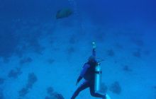 Zabargan, Rocky Island i St Johns - kwiecień 2008