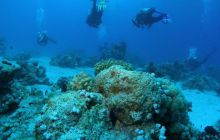 Zabargan, Rocky Island i St Johns - kwiecień 2008