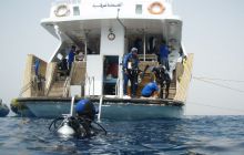 Zabargan, Rocky Island i St Johns - kwiecień 2008