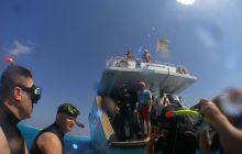 Zabargan, Rocky Island i St Johns - kwiecień 2008