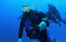 Zabargan, Rocky Island i St Johns - kwiecień 2008