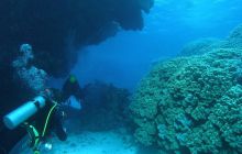 Zabargan, Rocky Island i St Johns - kwiecień 2008