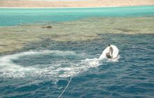 Zabargan, Rocky Island i St Johns - kwiecień 2008