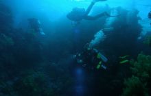 Zabargan, Rocky Island i St Johns - kwiecień 2008