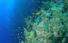 Zabargan, Rocky Island i St Johns - kwiecień 2008